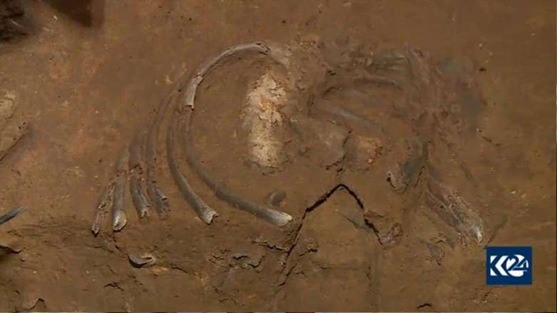 کشف بقایای یک نئاندرتال در غار شانه در 