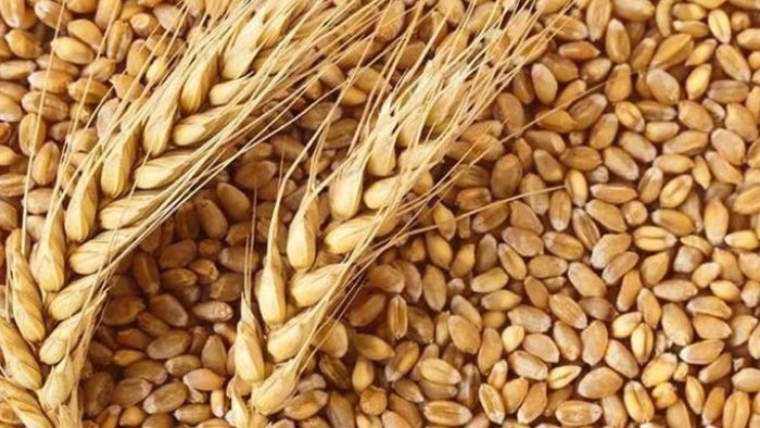 رووسیا: با بۆ دانه‌وێڵه‌ش ئۆپیك دابنێین