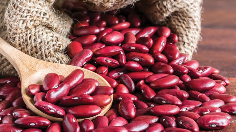 لوبیای قرمز