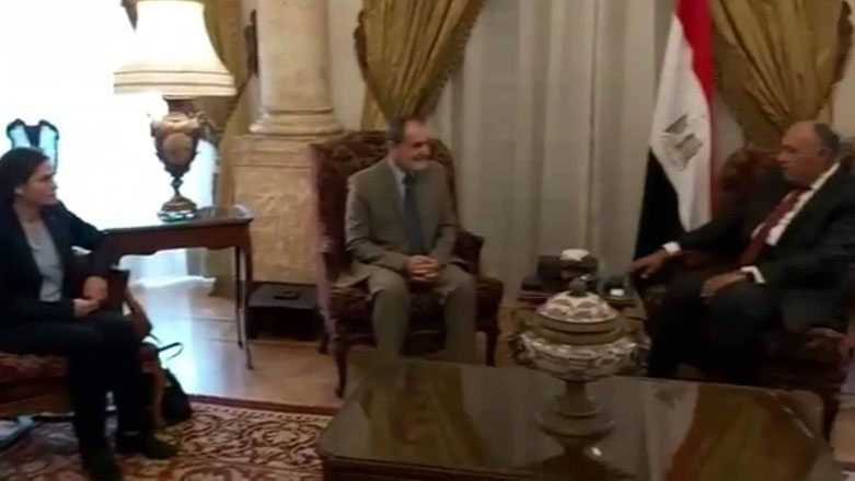 نشست هیئت سوریه دمکراتیک با وزیر امور خارجه مصر
