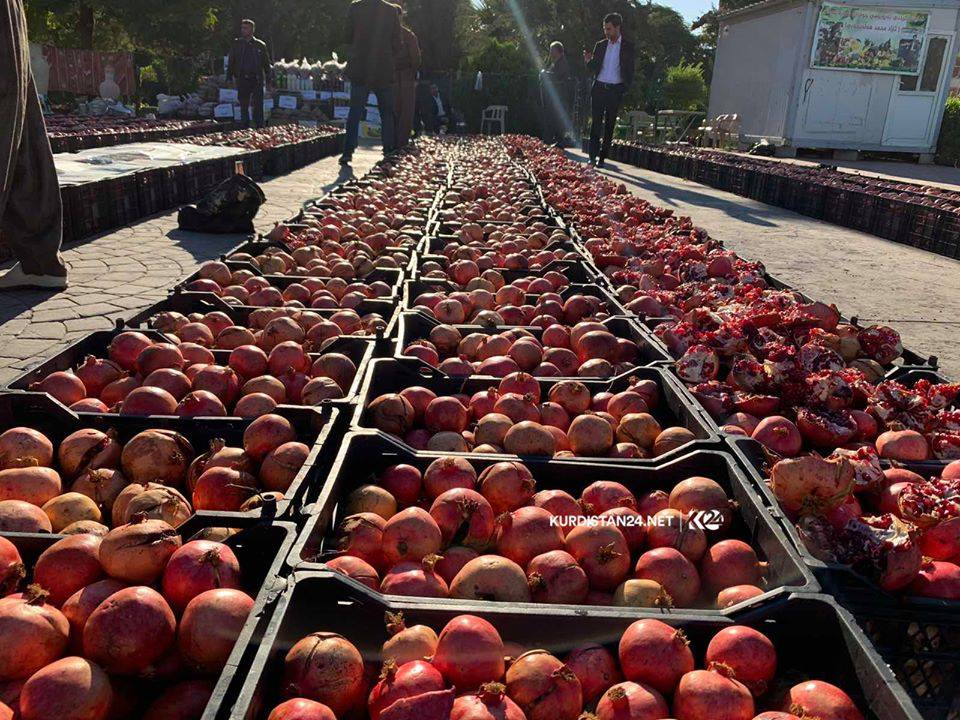 Fruits on display at the “Pomegranate Festival” organized by a farmer from Halabja in the Kurdistan Region capital of Erbil, Nov. 10, 2019. (Photo: Kurdistan 24)