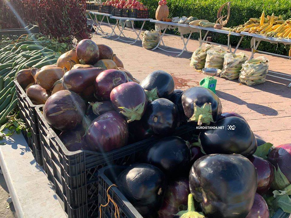 PHOTOS: Kurdish farmer organizes festival in Erbil to display local produce