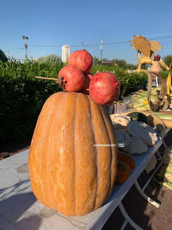PHOTOS: Kurdish farmer organizes festival in Erbil to display local produce
