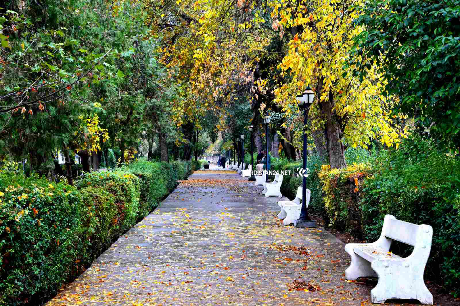 باخی گشتی سلێمانی