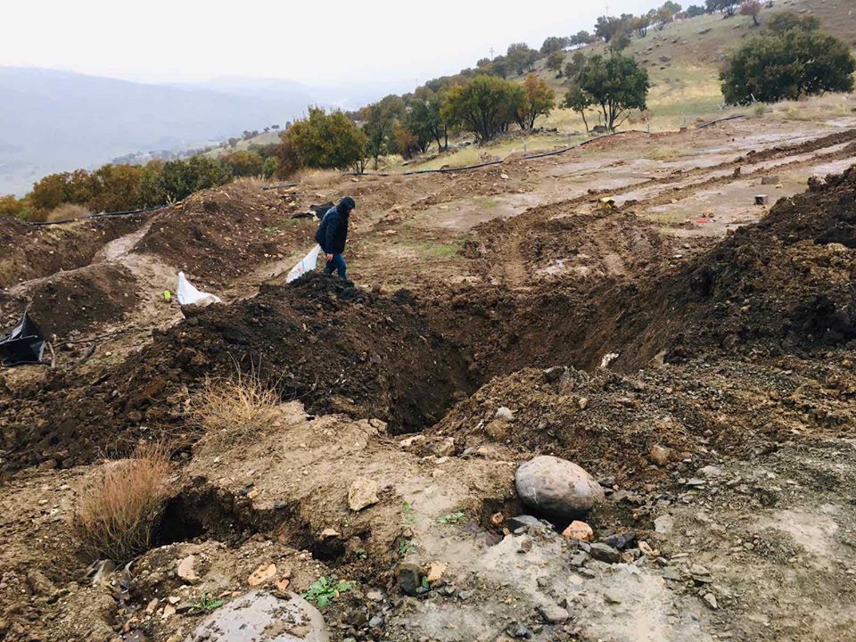 نزیكەی 4 ھەزار مریشک لە دوكان مردار بوون