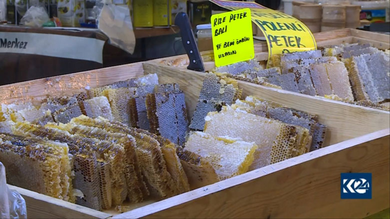 Hinguvên Bakurê Kurdistanê li Enqerê hatin danasîn