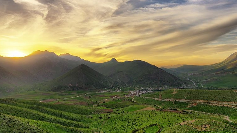 في كوردستان.. حملات محاربة التصحر تتوسع وتصل "قوشتبة"