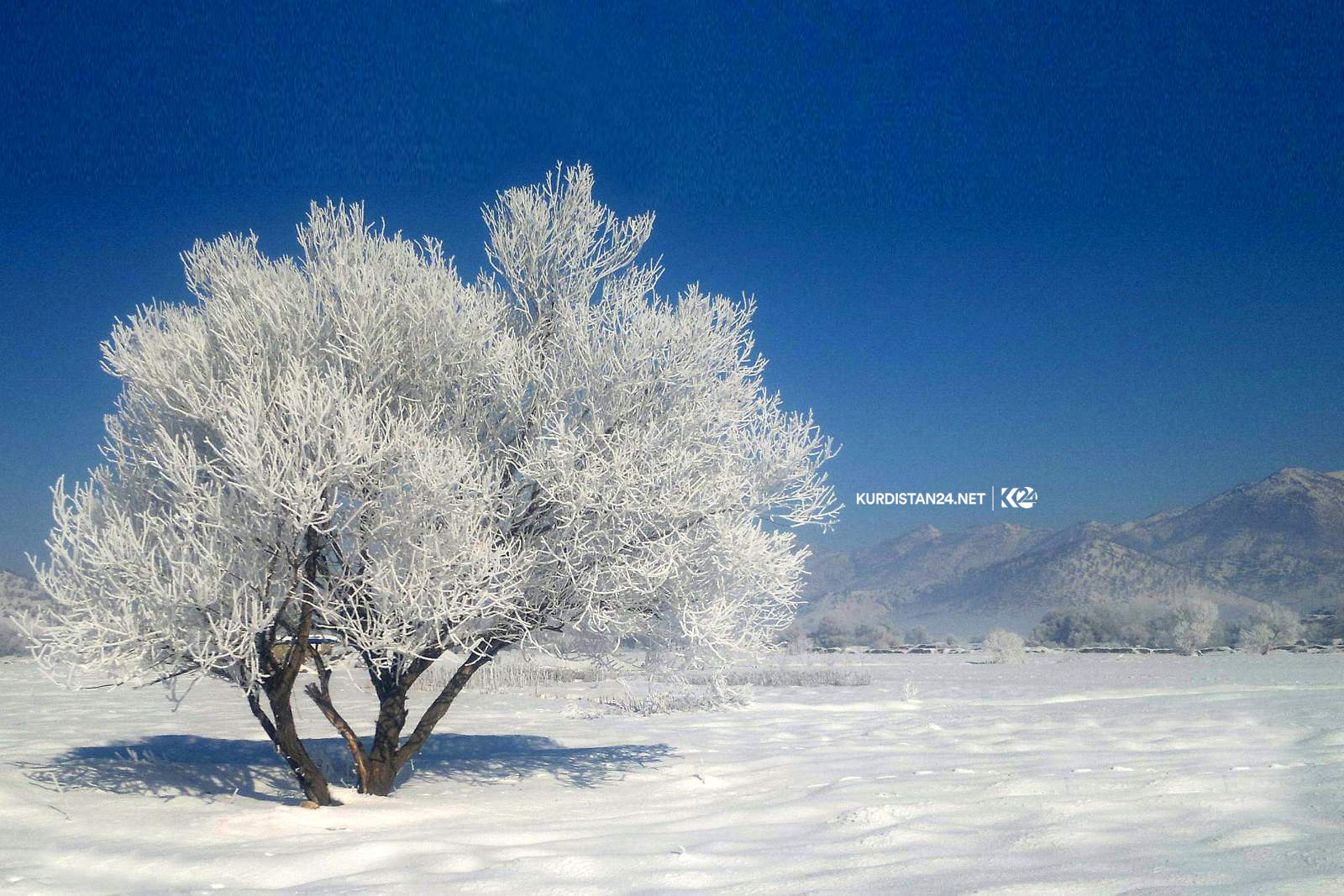 بالصور | الثلوج تشكل لوحات فنية في إقليم كوردستان