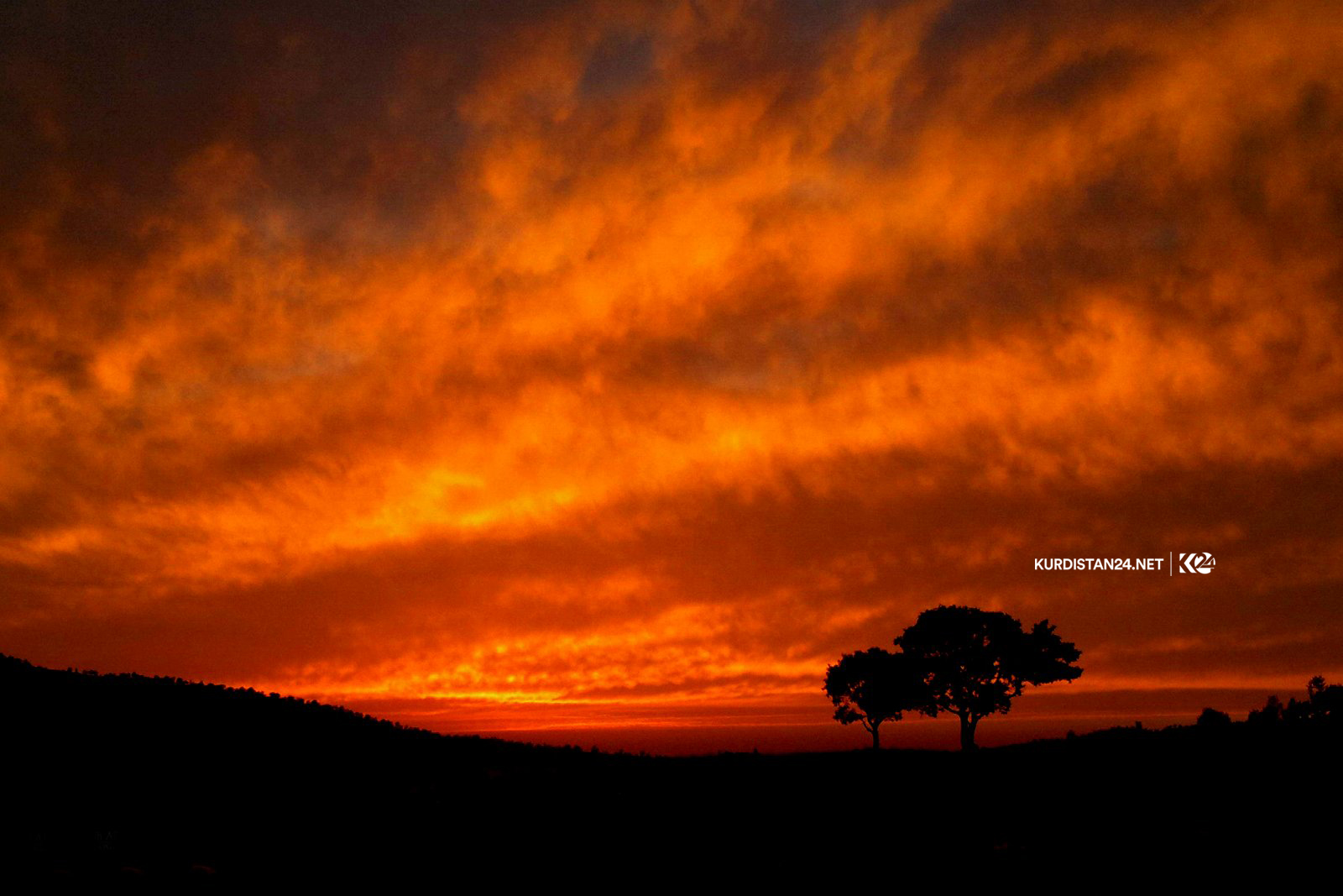 بالصور | الثلوج تشكل لوحات فنية في إقليم كوردستان