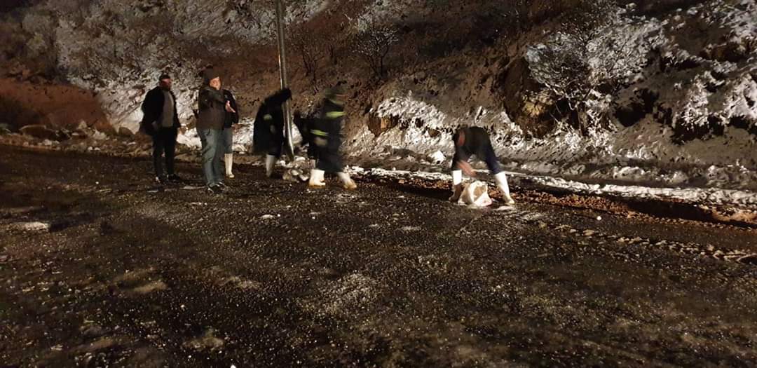 PHOTOS: Heavy snowfall in Kurdistan Region causes roadblocks in Erbil, Sulaimani