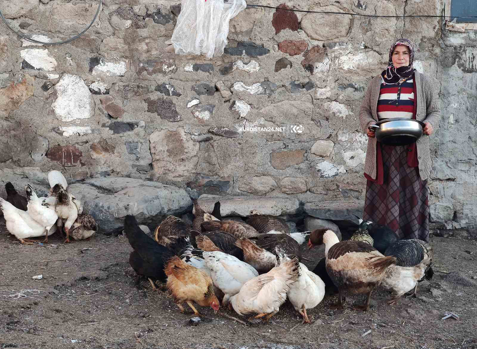 بە وێنە... ئاژەڵداری لە باكووری كوردستان