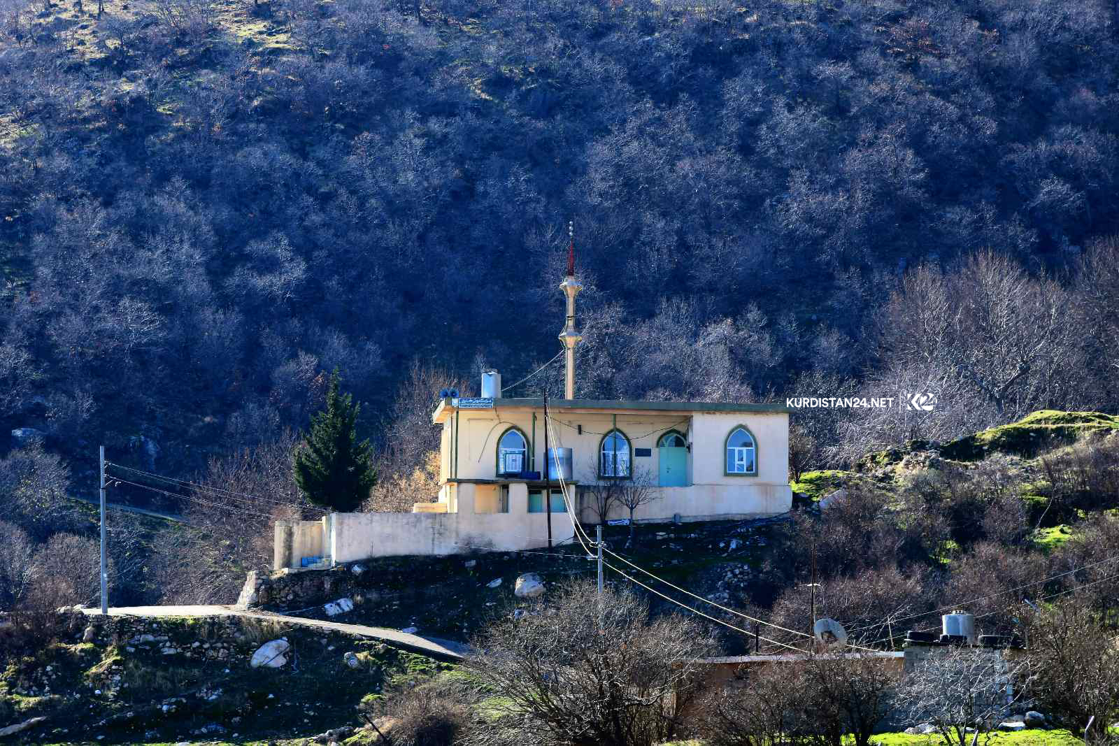 گوندی خاوێ