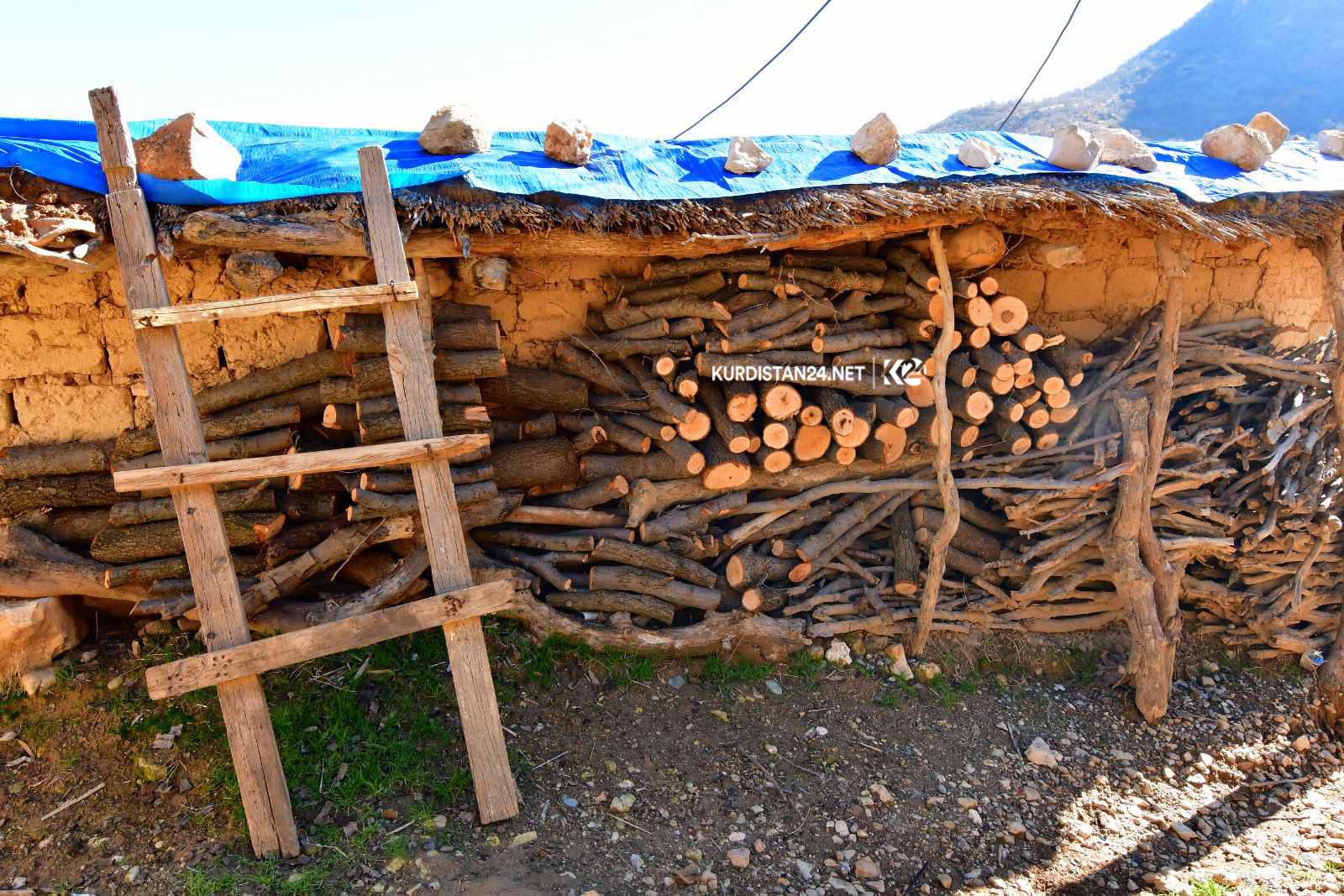گوندی خاوێ