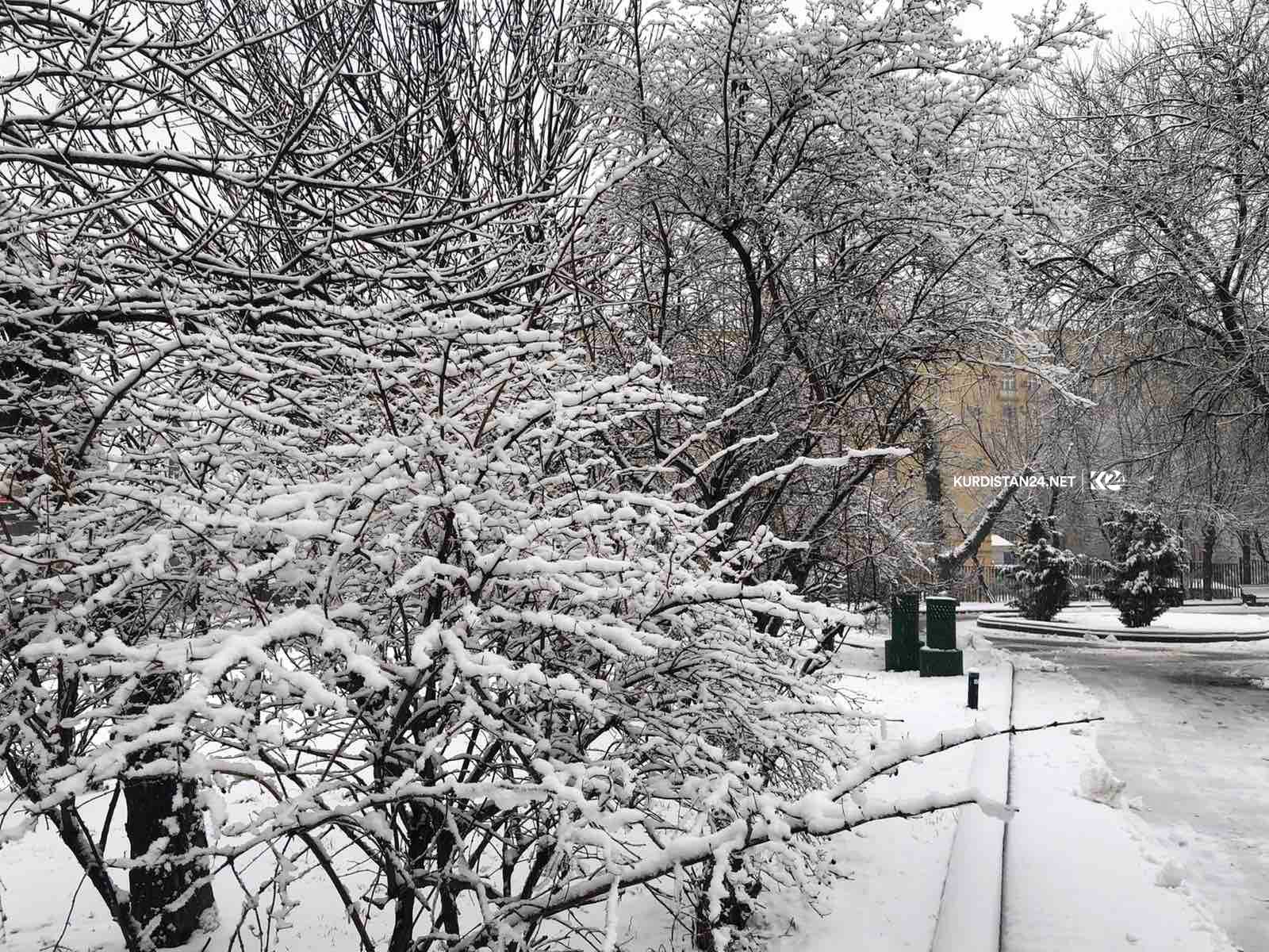 PHOTOS: Locals flock as Moscow experiences first significant snowfall of winter