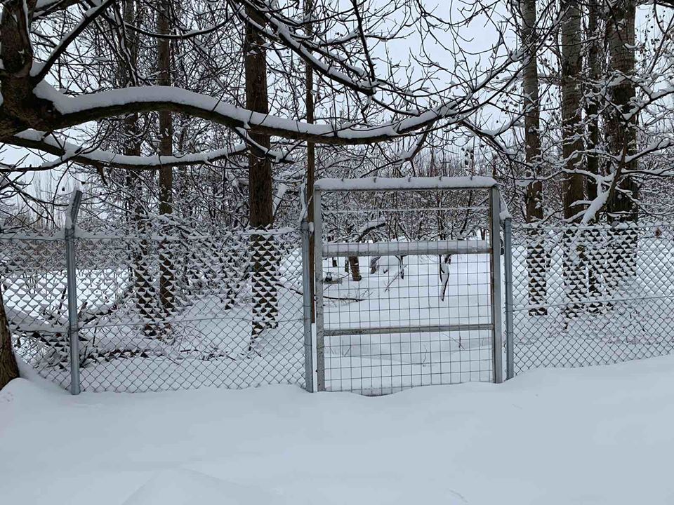بالصور | ثلوج كثيفة تعيق حركة المرور بمناطق في كوردستان