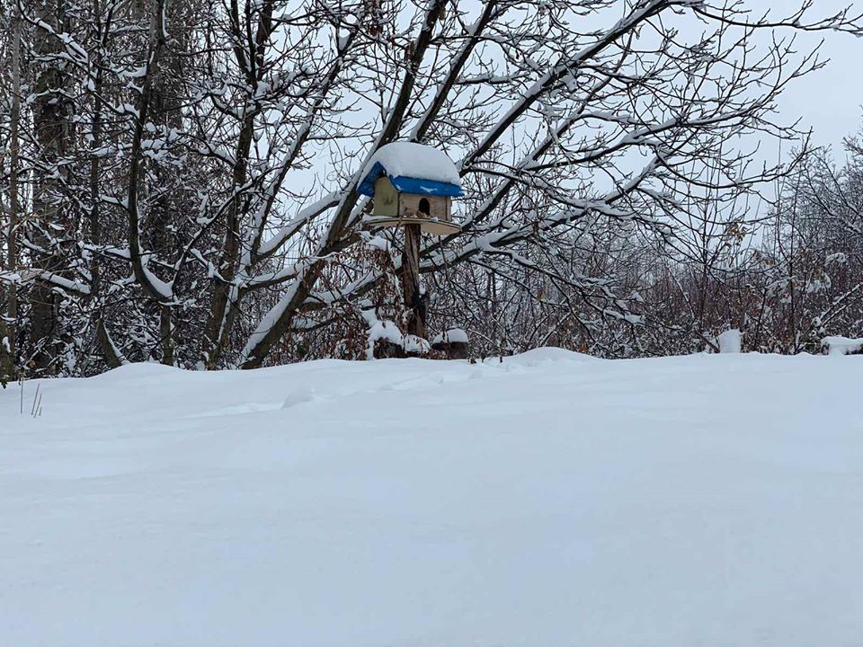 بالصور | ثلوج كثيفة تعيق حركة المرور بمناطق في كوردستان