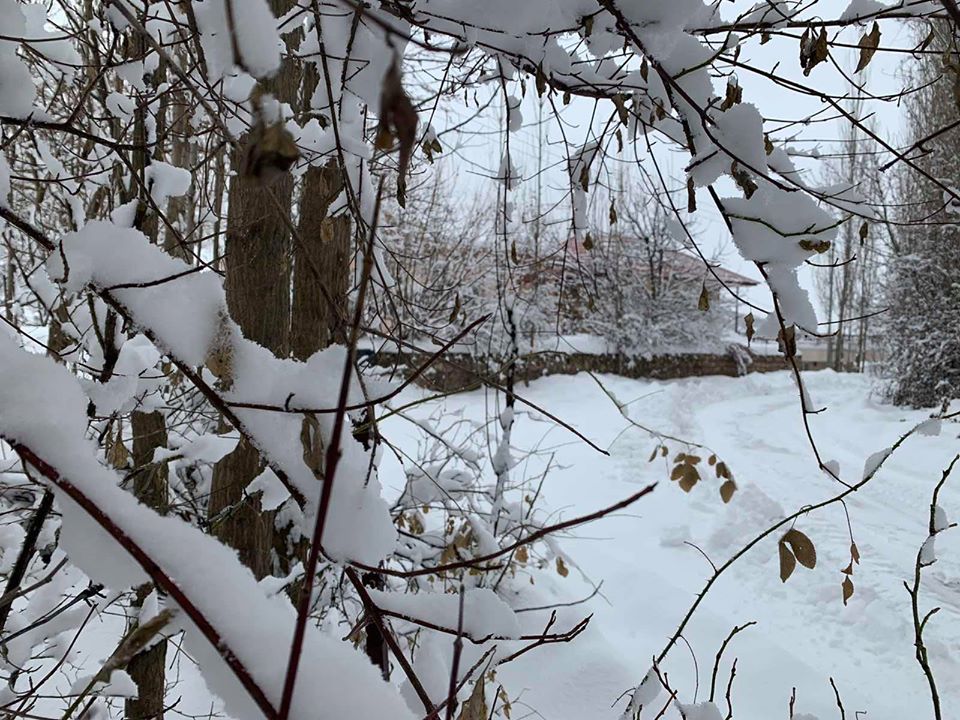 بالصور | ثلوج كثيفة تعيق حركة المرور بمناطق في كوردستان
