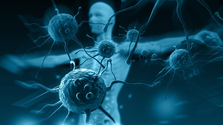 لمواجهة كورونا.. عزز مناعتك بهذه الأغذية