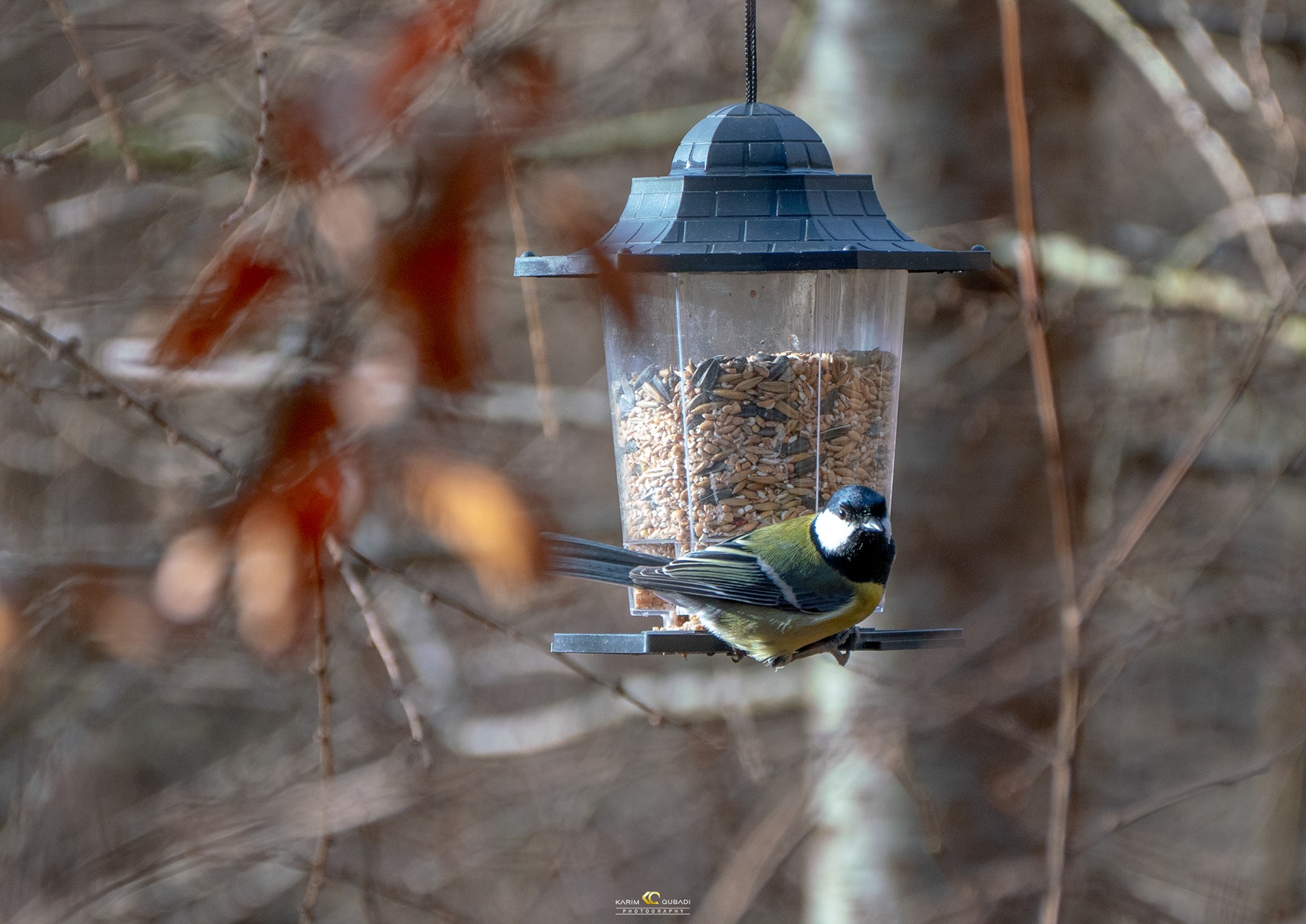  فۆتۆگرافەرێكی كورد 