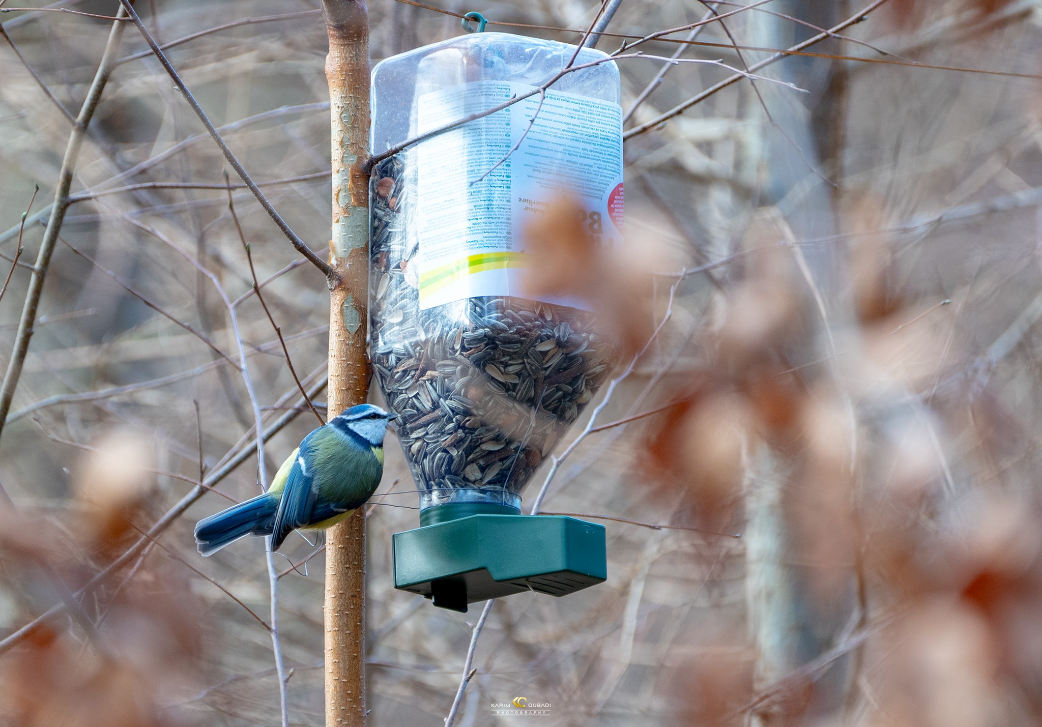  فۆتۆگرافەرێكی كورد 