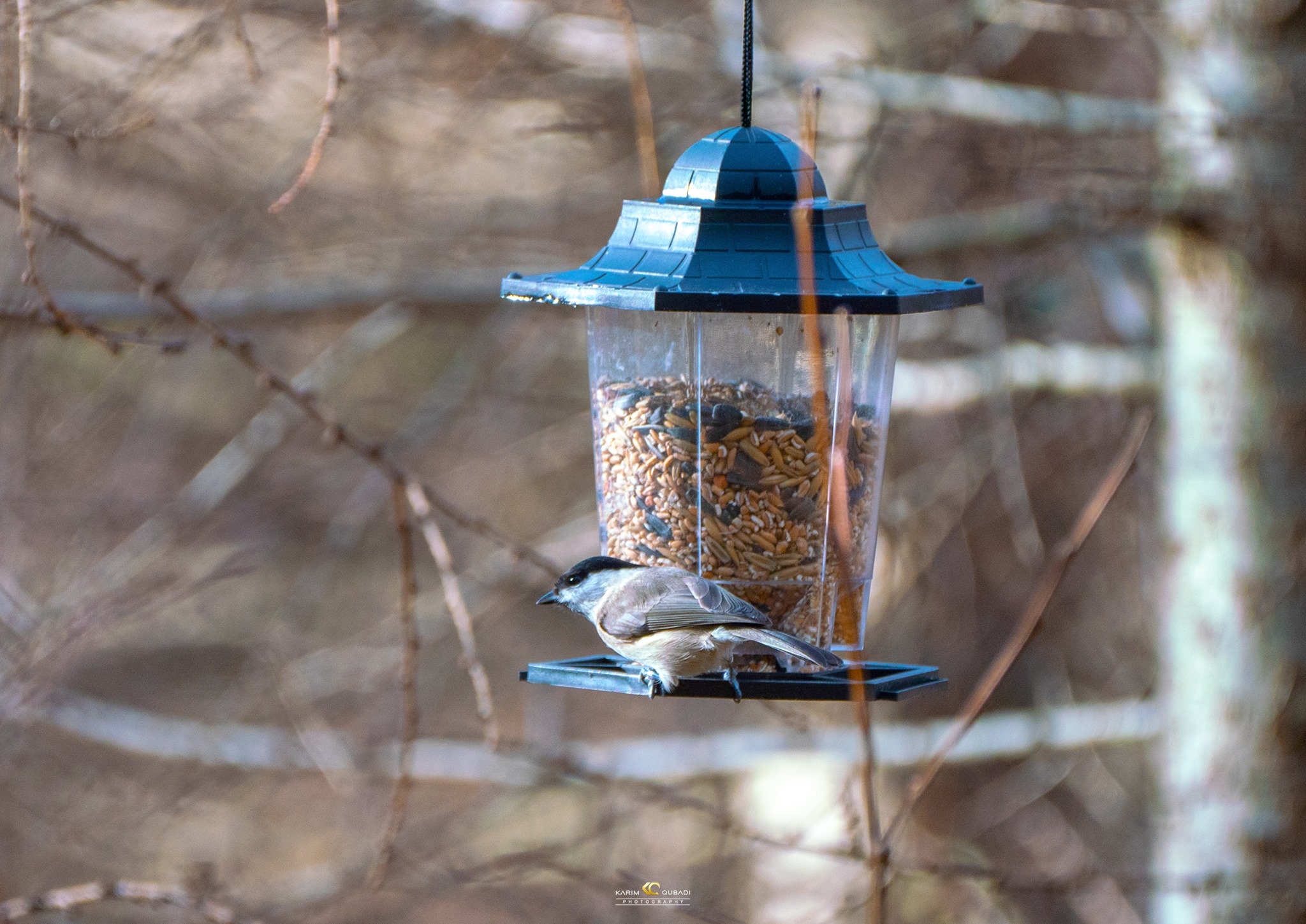  فۆتۆگرافەرێكی كورد 