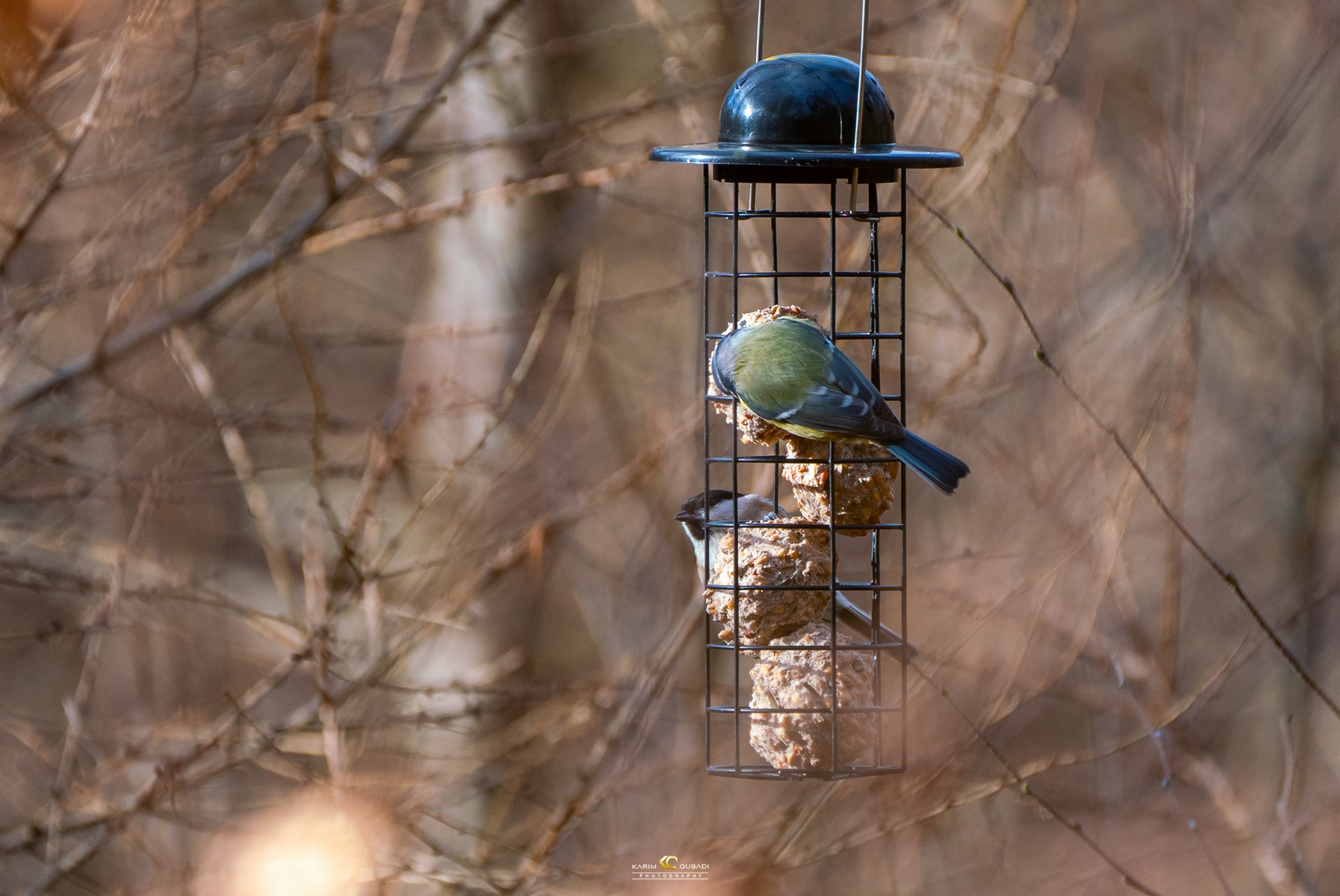  فۆتۆگرافەرێكی كورد 