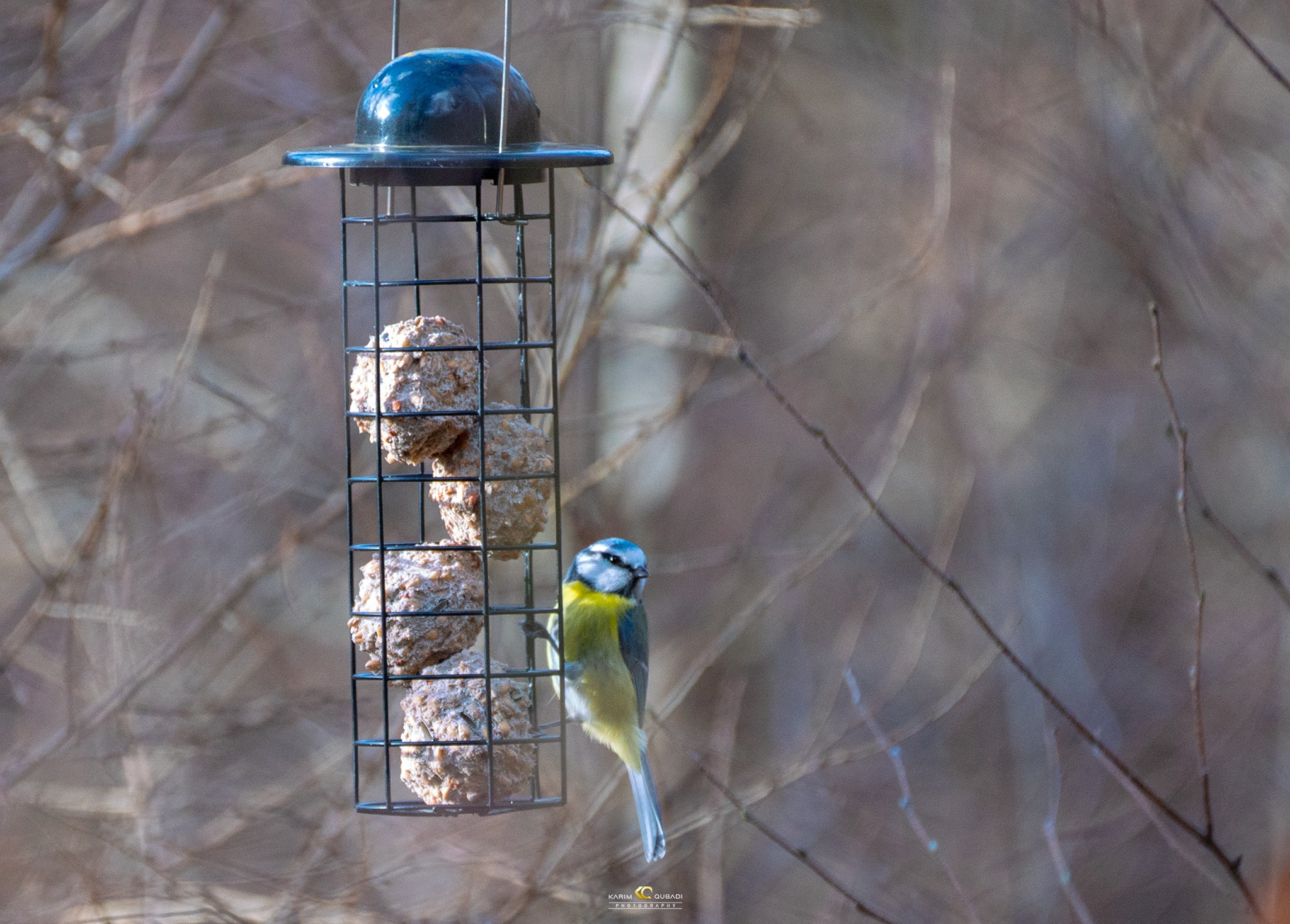  فۆتۆگرافەرێكی كورد 
