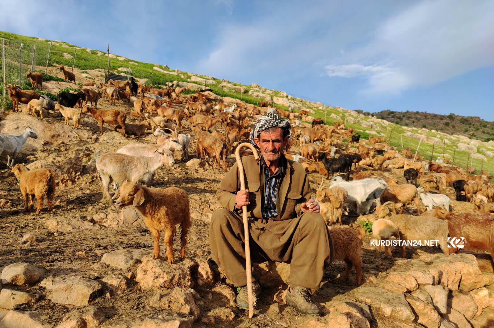 بزنی مەرەز