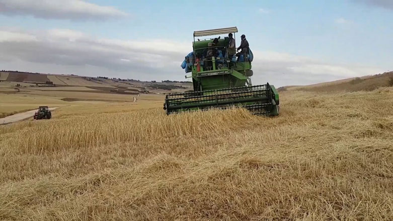 Cotkarên Rojavayê Kurdistanê ji nirxê genim ne razî ne