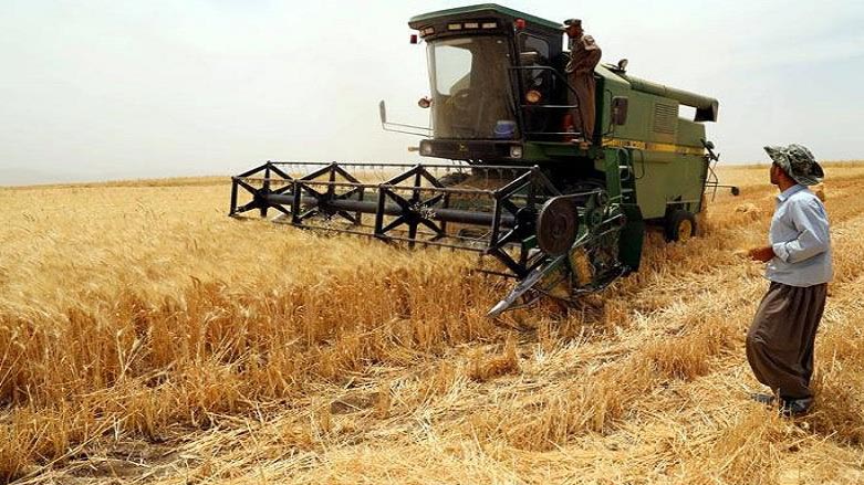 بۆ ئه‌مساڵ حكومه‌تی عێراق بڕێكی زیاتر گه‌نمی جووتیارانی هه‌رێم وه‌رده‌گرێت