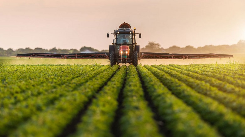 ئەنجوومەنی پارێزگای هەولێر پڕۆژەیەکی بۆ نەهێشتنی هاوردەی کشتووکاڵی راگەیاند