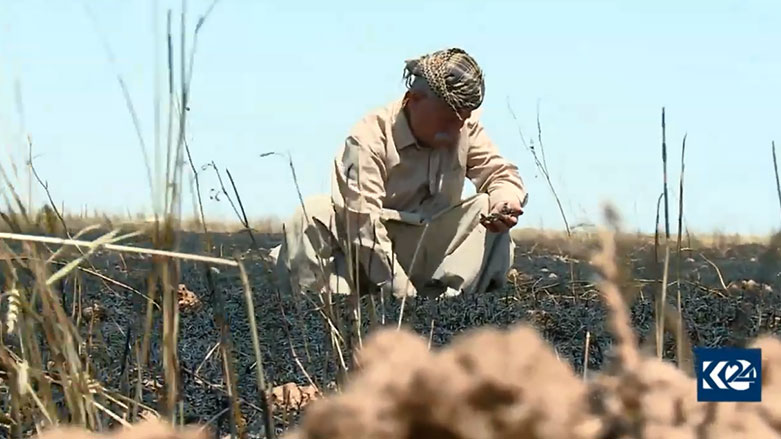 له‌ داقووق 200 دۆنم گه‌نمی جووتیارێكی كورد سووتێنرا