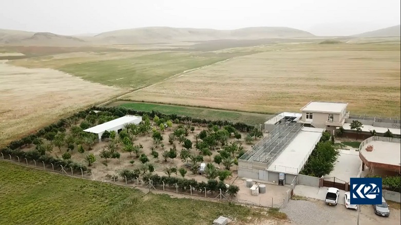 The compound where Kochar cares for his flock of wild mountain goats, May 10, 2020. (Photo: Kurdistan 24)