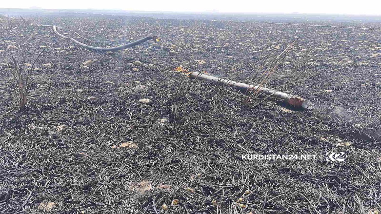 بار دیگر مزارع کشاورزان کرد خاکستر شدند