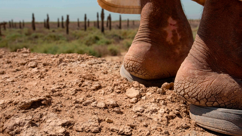 Iraq li ber zuwabûnê rûbirû maye