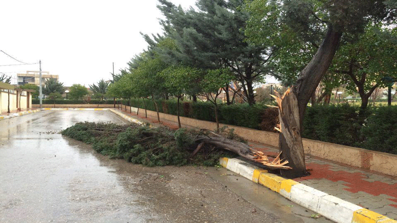 رەشەبا یەخەی سلێمانی بەرنادات