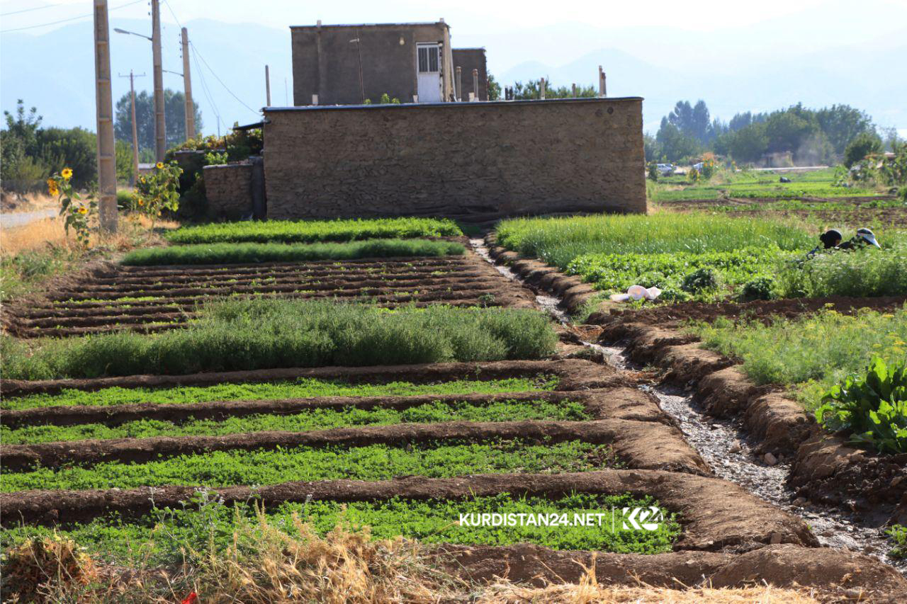 بە وێنە... ئاوایی کۆڵان