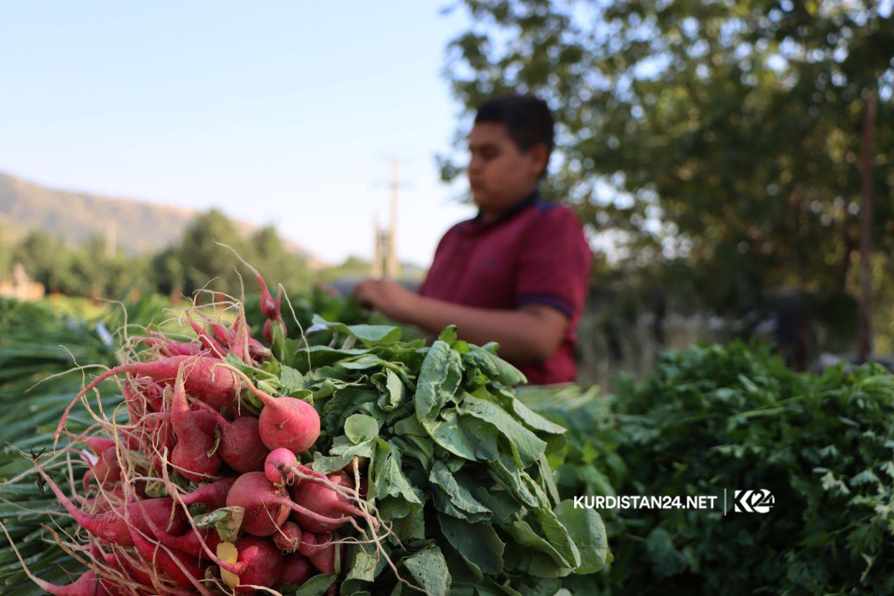 بە وێنە... ئاوایی کۆڵان
