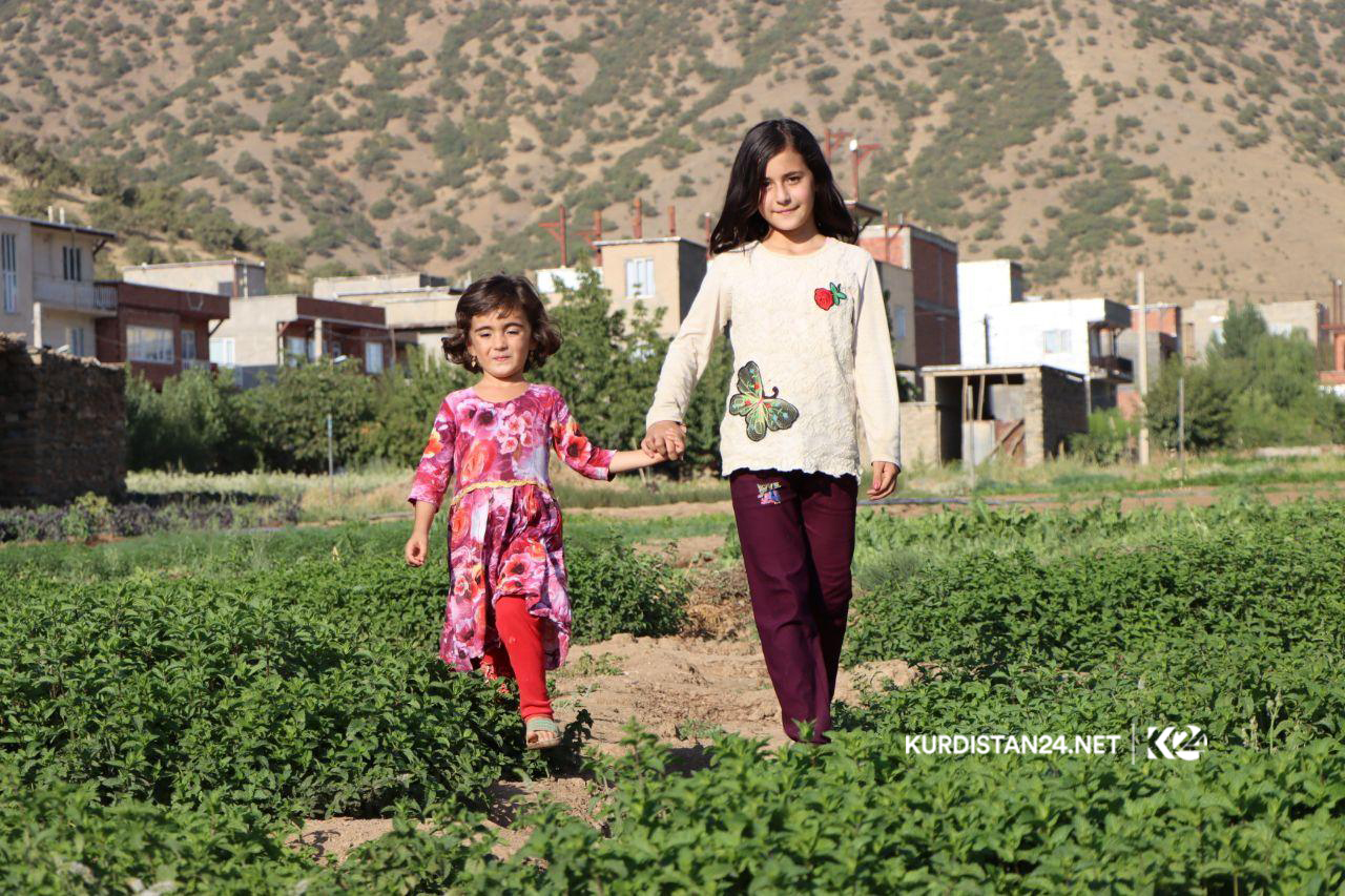 بە وێنە... ئاوایی کۆڵان