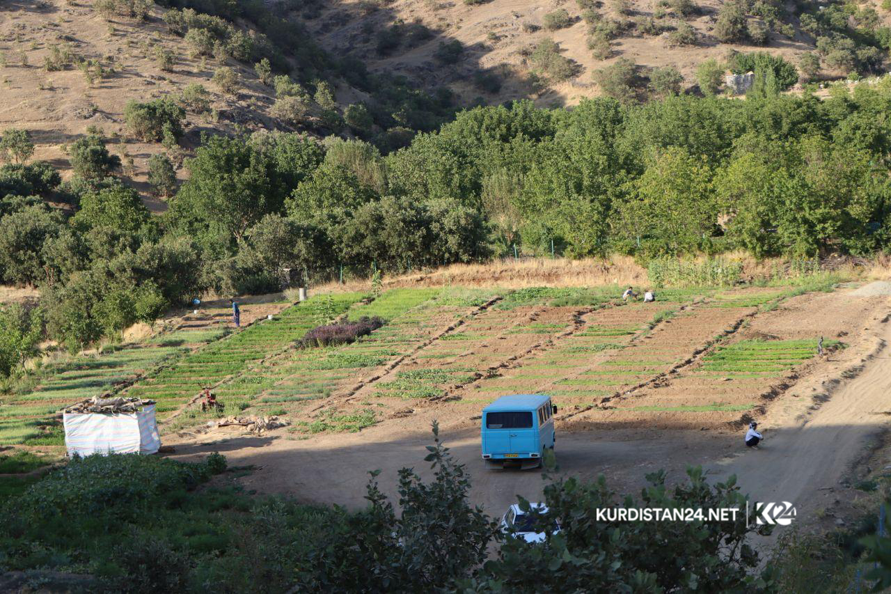 بە وێنە... ئاوایی کۆڵان