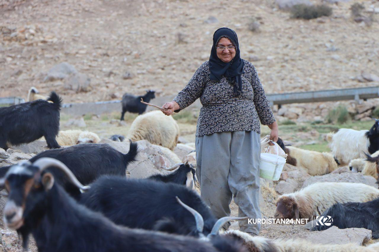 گه‌له‌ بێری 