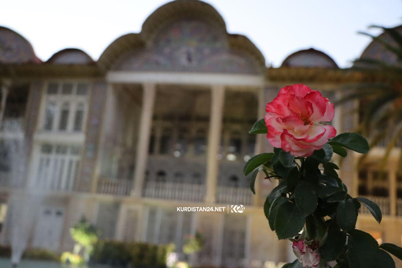 باخی 