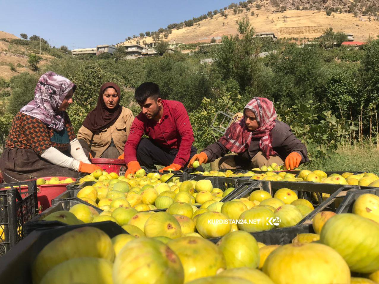 بالصور | غذاء ودواء.. 