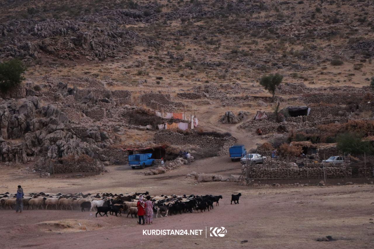 ژیان لە هەوارەکانی سەردەشت