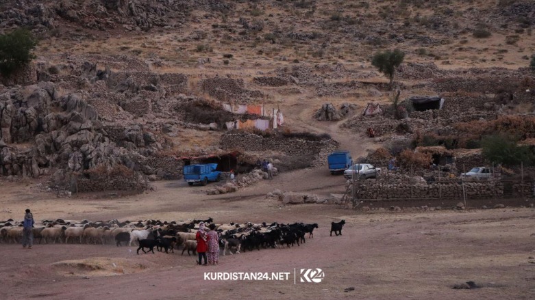 ژیان لە هەوارەکانی سەردەشت