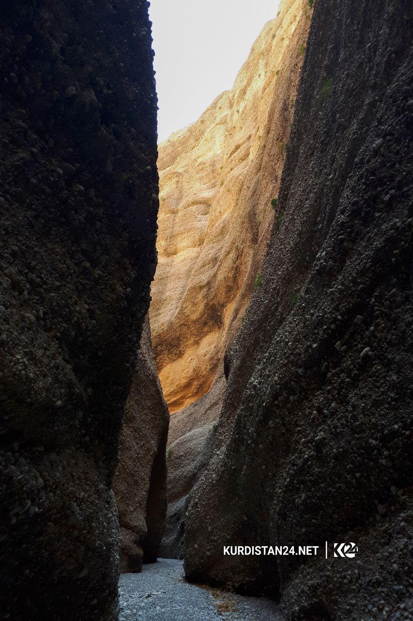 بالصور | 
