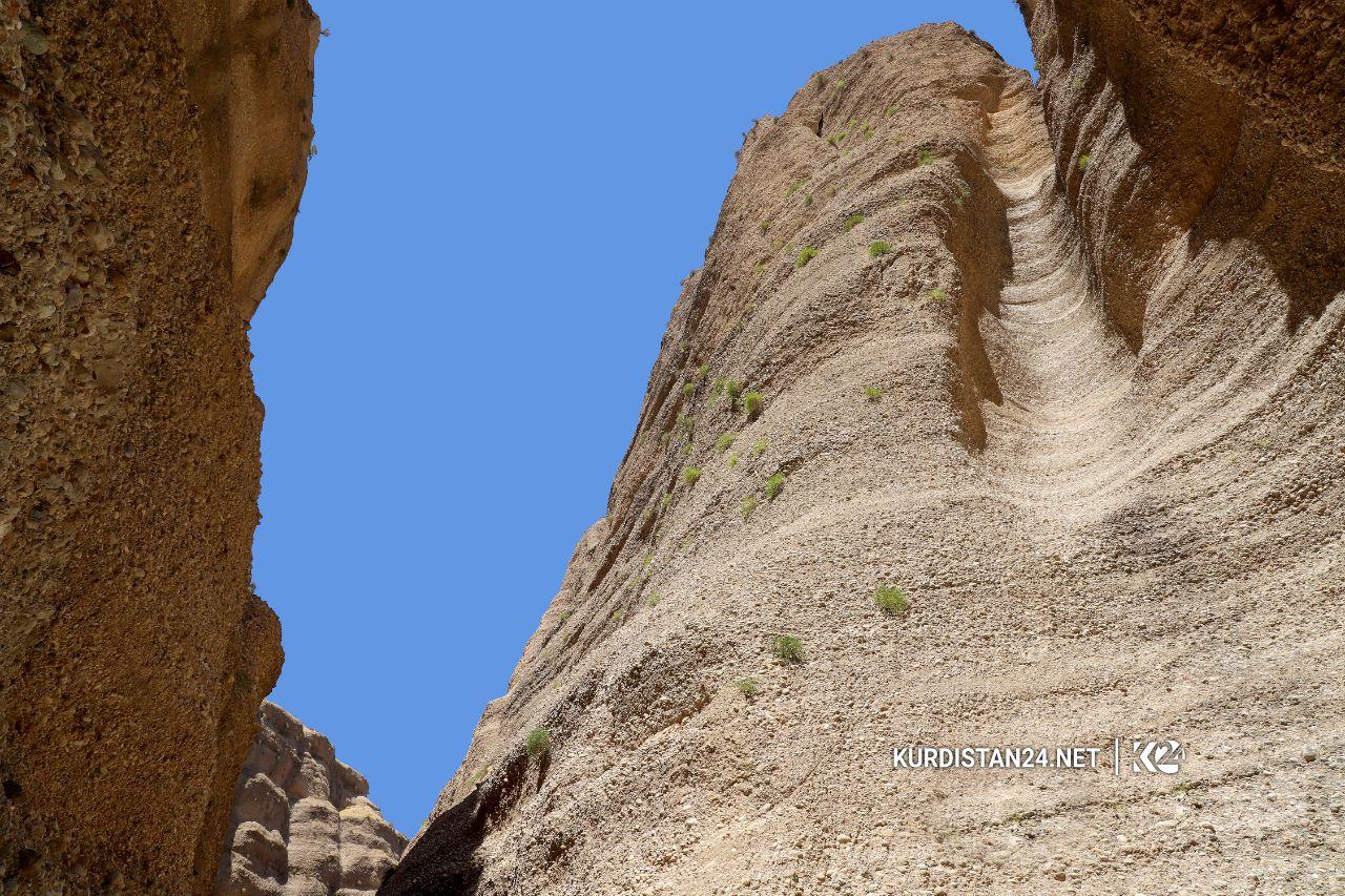 بالصور | 