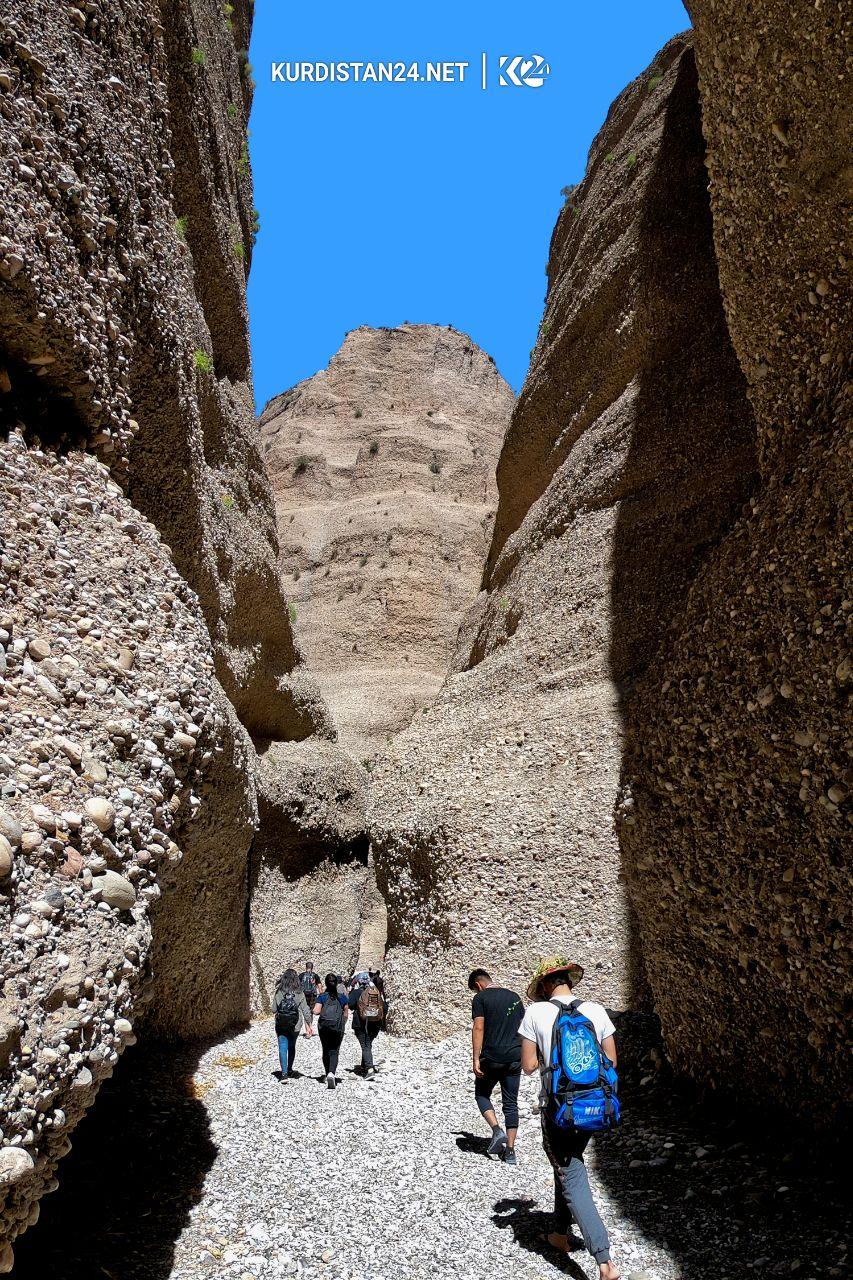 بالصور | 