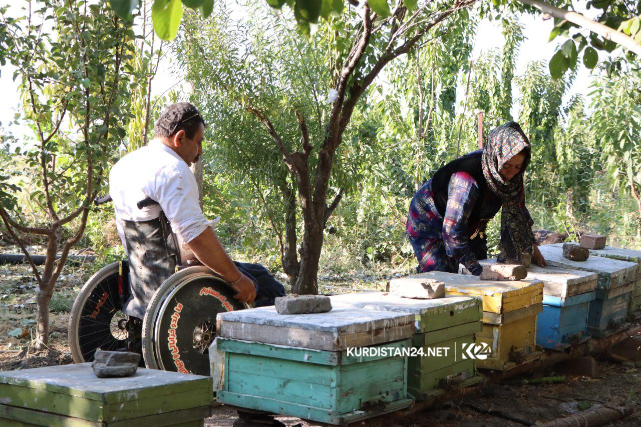 بە وێنە..خاوەن پێداویستییەكی تایبەت 12 ساڵە ھەنگەوانی دەكات