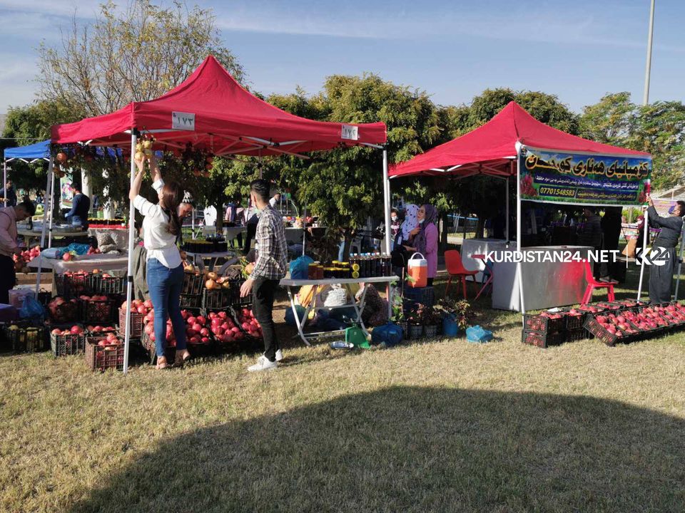 بِگَرد طالبانی: انار هَلَبجه به کشور فرانسه صادر خواهد شد